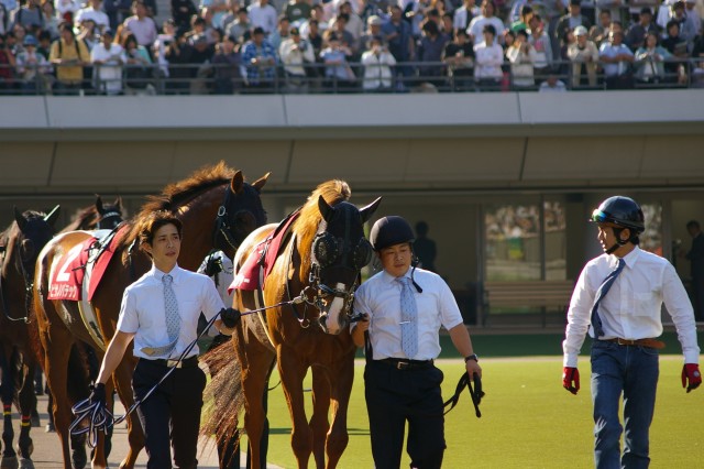 毎日王冠 愛しのローレル