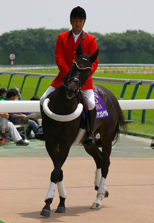 s-IMGP8924.jpg
