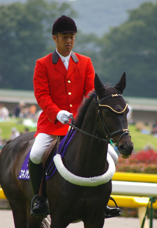s-IMGP90922.jpg